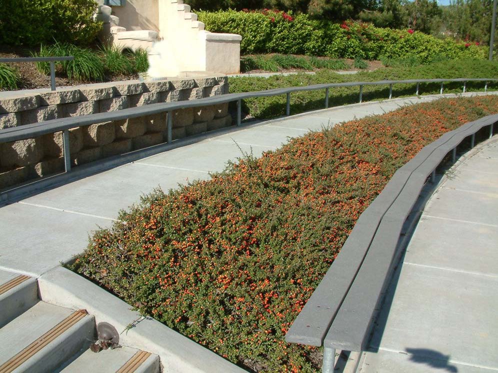 Seats Between Plants