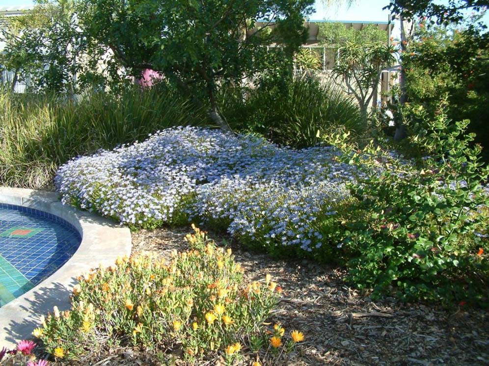 Mass of White Border