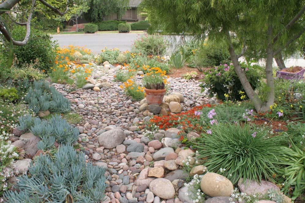 Meandering Rock Stream