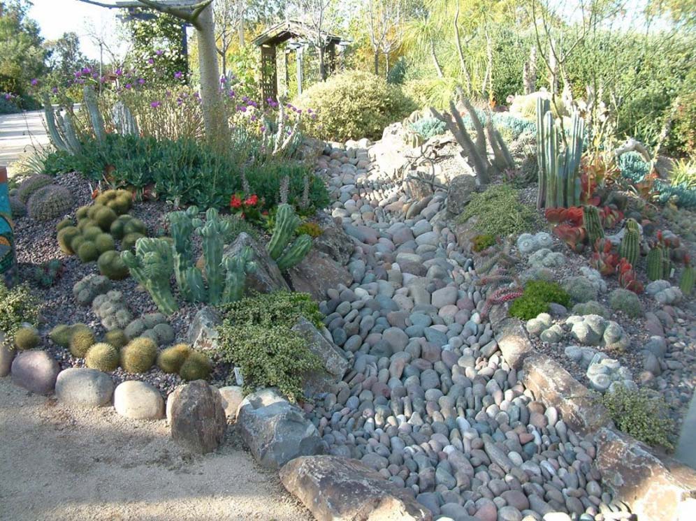 Southwest Garden and Rock Stream