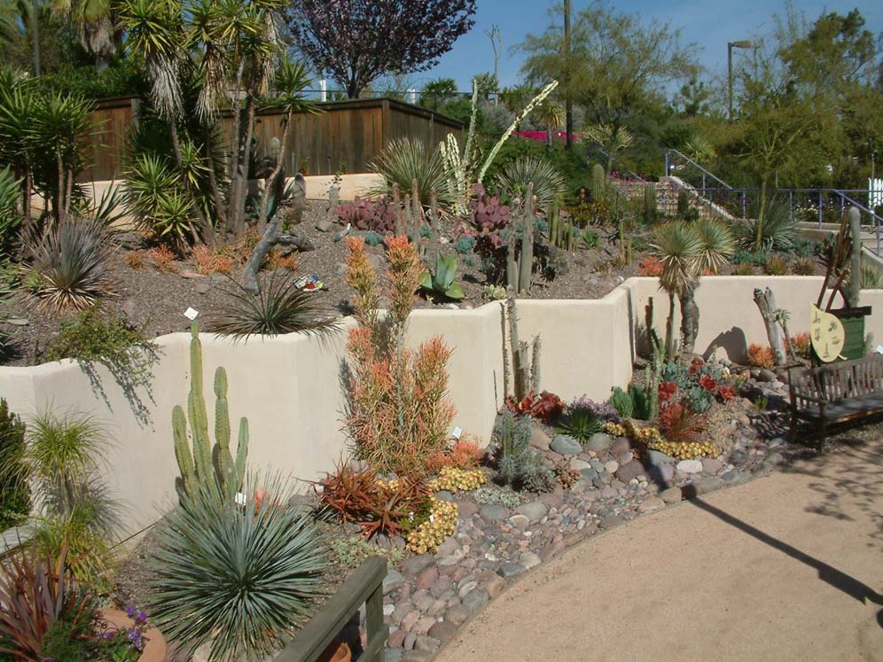 Terraced Cactus Garden