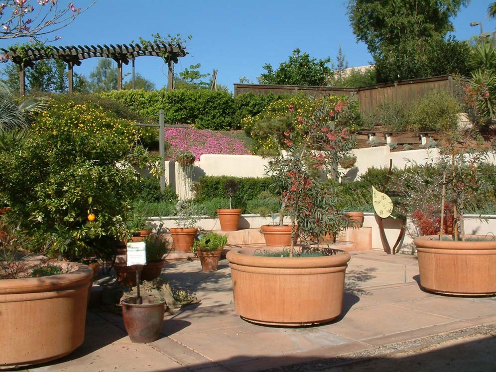 Patio of Pots