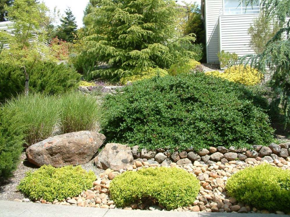 Rock and Plantings