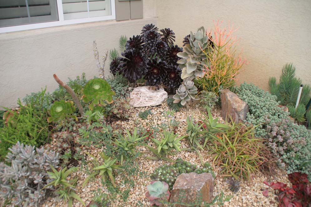 Pocket Garden Corner