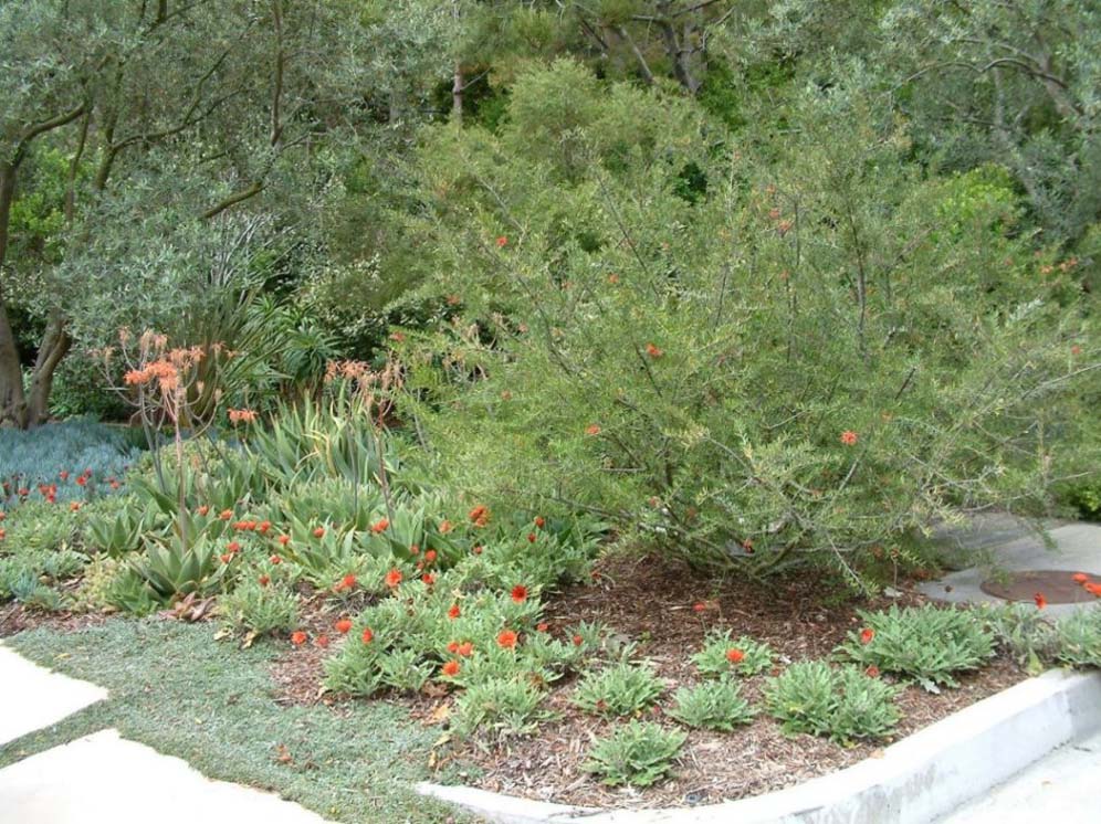 Cal Greek Front Drive Area