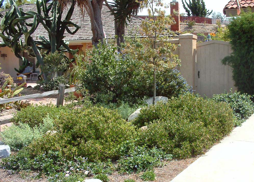 Populated by Shrubs