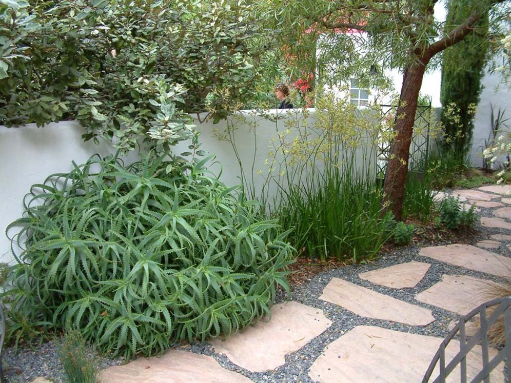 Cal Greek Inner Patio