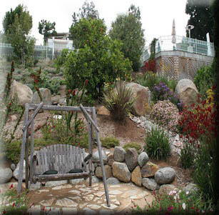 Kangaroo Paws Hill Garden