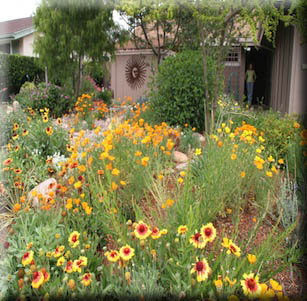 California Xeriscape Garden