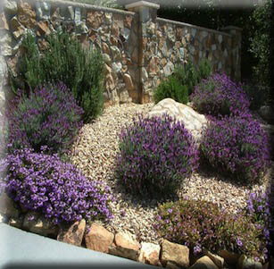 Shrub Borders